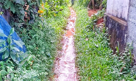 പൈ​പ്പു​പൊ​ട്ടി കു​ടി​വെ​ള്ളം ഇ​ല്ലാ​താ​യി​ട്ട്  ആ​റു​ദി​വ​സം; ഇ​ട​വ​ഴി തോ​ടാ​യി