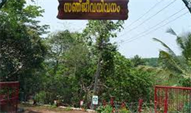 ഔ​ഷ​ധ​സ​സ്യ​ങ്ങ​ൾ നിറഞ്ഞ സ​ഞ്ജീ​വ​നി വ​ന​ം  സം​ര​ക്ഷിക്കണമെന്ന ആവശ്യം ശക്തം