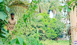 പോ​സ്റ്റി​ലെ  പൊ​ന്ത​ക്കാ​ടു​ക​ൾ വെ​ട്ടി