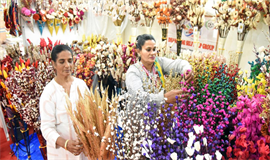 സ​ര​സ് മേ​ള​യി​ൽ സി​ഡി​എ​സ് ര​ജി​സ്ട്രേ​ഷ​നി​ല്ലാ​ത്ത  സം​രം​ഭ​ക​ർ​ക്ക് സ്റ്റാ​ൾ അ​നു​വ​ദി​ച്ച​താ​യി ആ​ക്ഷേ​പം