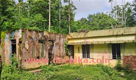 സി​ക്കി​ൾ​സെ​ൽ അ​നീ​മി​യ ബാ​ധി​ത​ർ വീടില്ലാതെ ദുരിതത്തിൽ