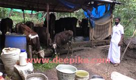 ക്ഷീരവിപ്ലവം, സോ​മ​രാ​ജ​ൻ വക