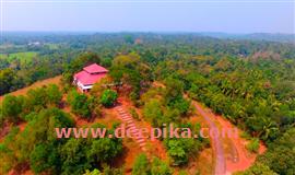 ഹ​രി​ത​ശോ​ഭ​യോ​ടെ കാ​സ​ര്‍​ഗോ​ഡ്; പ​ച്ച​ത്തുരു​ത്ത് പു​ര​സ്‌​കാ​ര​ത്തി​ല്‍ ആ​ധി​പ​ത്യ​മു​റ​പ്പി​ച്ച്  ജി​ല്ല​യി​ലെ ക​ണ്ട​ല്‍ തു​രു​ത്തു​ക​ളും കാ​വു​ക​ളും