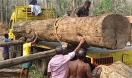 മ​ര​ക്ക​ച്ച​വ​ടം: വ്യാ​പാ​രി, തൊ​ഴി​ലാ​ളി ബ​ന്ധം ഉ​ല​യു​ന്നു