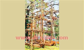 നീ​ലം​പേ​രൂ​ര്‍ പ​ട​യ​ണി പാ​റാ​വ​ള​യം എ​ത്തി; ഇ​ന്ന്  കു​ട​നി​ര്‍​ത്തോ​ടെ ര​ണ്ടാം ഘ​ട്ടം അ​വ​സാ​നി​ക്കും