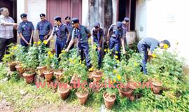 സ്‌​കൗ​ട്ട് വി​ദ്യാ​ർ​ഥി​ക​ൾ  ബ​ന്ദി​പ്പൂ വി​ള​വെ​ടു​പ്പ് ന​ട​ത്തി
