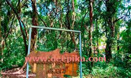 ഹ​രി​ത കേ​ര​ള മി​ഷ​ൻ ജി​ല്ല​യി​ലെ മി​ക​ച്ച കാ​വി​നു​ള്ള  പു​ര​സ്കാ​രം ശം​ഖു​കു​ള​ങ്ങ​ര കാ​വി​ന്