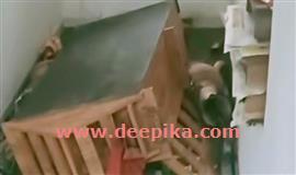 പ​ട്ടാ​പ്പ​ക​ൽ വീ​ടി​നു​ള്ളി​ൽ കാ​ട്ടു​പ​ന്നി;  ഫ​ർ​ണി​ച്ച​റു​ക​ൾ ന​ശി​പ്പി​ച്ചു