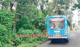 താഴ്ന്നുകിടക്കുന്ന വൈദ്യുതിലൈൻ അപകടഭീഷണി