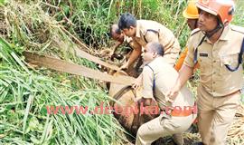 ച​തു​പ്പി​ല്‍ അ​ക​പ്പെ​ട്ട പ​ശു​വി​നെ  ഫ​യ​ര്‍​ഫോ​ഴ്‌​സ് ര​ക്ഷ​പ്പെ​ടു​ത്തി