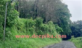 വ​ന്യ​മൃ​ഗ​ങ്ങ​ൾ കൃ​ഷി​യി​ട​ങ്ങളിലിറ​ങ്ങു​ന്ന​തു ത​ട​യാ​ൻ സ​മ​ഗ്രപ​ദ്ധ​തി​യു​മാ​യി വ​നംവ​കു​പ്പ്