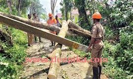 കാ​ഞ്ഞി​ര​പ്പ​ള്ളി​യെ വി​റ​പ്പി​ച്ച്  പേ​മാ​രി​യും കാ​റ്റും