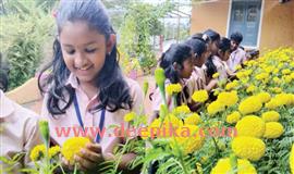 സ്കൂ​ള്‍ മു​റ്റ​ത്ത് വസന്തമൊരുക്കി  കു​രു​ന്നു​ക​ളു​ടെ സൗ​ഹൃ​ദം