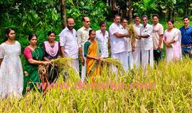 സ്ഥി​രം​സ​മി​തി അ​ധ്യ​ക്ഷ​ന്‍റെ വ​യ​ലി​ൽ  പ​ഞ്ചാ​യ​ത്ത് അം​ഗ​ങ്ങ​ളു​ടെ കൊ​യ്ത്ത്