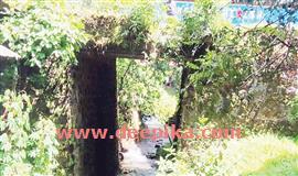 പ​ള്ളി​പ്പ​ടി​പാ​ലം അ​പ​ക​ടാ​വ​സ്ഥ​യി​ൽ;  പു​ന​ർ​നി​ർ​മി​ക്ക​ണ​മെ​ന്ന ആ​വ​ശ്യം ശ​ക്തം