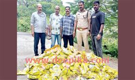 ചാ​ക്കു​ക​ണ​ക്കി​നു പാ​ൻ​മ​സാ​ല;  കൈ​യോ​ടെ പൊ​ക്കി എ​ക്സൈ​സ്