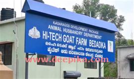 ബേ​ഡ​ഡുക്ക ആ​ട് ഫാം 30​നു നാ​ടി​ന് സ​മ​ര്‍​പ്പി​ക്കും
