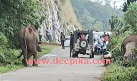 നെ​ല്ലി​യാ​മ്പ​തി​യി​ൽ വി​നോ​ദ​സ​ഞ്ചാ​രി​ക​ളു​ടെ തി​ര​ക്ക്