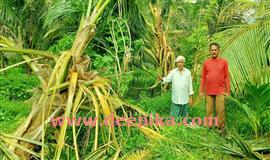 കാ​ട്ടാ​നക്കലി​യ​ട​ങ്ങാ​തെ ക​രി​മ്പാ​റ ക​ൽ​ച്ചാ​ടി മേ​ഖ​ല