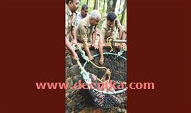 കി​ണ​റ്റി​ൽ അ​പ​ക​ട​ത്തി​ൽ​പ്പെ​ട്ട​യാ​ളെ ഫ​യ​ർ​ഫോ​ഴ്സ് ര​ക്ഷി​ച്ചു