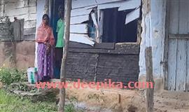 നെ​ല്ലി​യാ​മ്പ​തി​യി​ൽ തൊ​ഴി​ലാ​ളി​ക​ളു​ടെ പാ​ഡി കാ​ട്ടാ​ന ത​ക​ർ​ത്തു