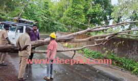 മ​രം വൈ​ദ്യു​തിലൈ​നി​ൽ വീ​ണ്  ഗ​താ​ഗ​തം ത​ട​സ​പ്പെ​ട്ടു