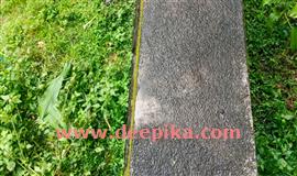 ആ​ന​മ​തി​ൽ ക​ട​ക്കാ​ൻ മോ​ഴ​യാ​ന​യു​ടെ ശ്ര​മം; മ​തി​ലി​ന്‍റെ ഉ​യ​രം വ​ർ​ധി​പ്പി​ക്ക​ണ​മെ​ന്ന്