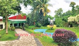 ക​ല്ലി​മേ​ൽ തേ​നീ​ച്ച​വ​ള​ർ​ത്ത​ൽ  കേ​ന്ദ്രം ഹ​ണി മ്യൂ​സി​യ​മാ​ക്കുന്നു