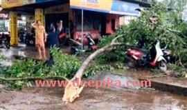 വ​ർ​ക്ക്ഷോ​പ്പി​ന് മു​ക​ളി​ൽ മ​ര​ക്കൊ​മ്പ് വീ​ണു
