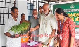ചെ​റു​പു​ഴ​യി​ൽ ഞാ​റ്റു​വേ​ല ച​ന്ത തു​ട​ങ്ങി