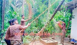 ആ​റ​ള​ത്ത് ആ​ർ​ആ​ർ​ടി എ​ന്തെ​ല്ലാം ചെ​യ്യ​ണം....