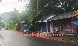 മൂ​ല​മ​റ്റ​ത്ത് മ​രം അ​പ​ക​ട ഭീ​ഷ​ണി​യു​യ​ർ​ത്തു​ന്നു