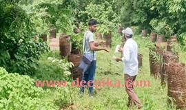 പു​ന​ർ​ജ​നി സു​കൃ​ത​വ​നം പ​ദ്ധ​തി: വി​ദ​ഗ്ധ​സം​ഘം സ​ന്ദ​ർ​ശ​നം ന​ട​ത്തി
