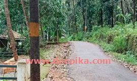 റോ​ഡു​ക​ൾ കു​ള​മാ​യി: പ​ദ്ധ​തി പ്ര​വ​ർ​ത്ത​ന​വും അ​വ​താ​ള​ത്തി​ൽ