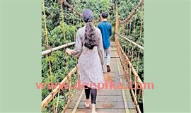 അ​മ്പി​ലാ​ടി തൂ​ക്കു​പാ​ലം അ​പ​ക​ടാ​വ​സ്ഥ​യി​ല്‍