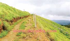 സ്വ​ര്‍​ഗം​മേ​ട് മ​ല​നി​ര​ക​ളി​ൽ  കൈ​യേ​റ്റ​മെ​ന്ന് പ​രാ​തി