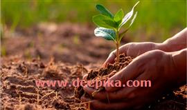 ഒ​രു മാ​സ​ത്തി​നി​ടെ ന​ട്ട​ത്  ഒ​രു​ ല​ക്ഷം തൈ​ക​ള്‍