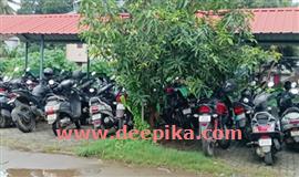 ഒ​റ്റ​പ്പാ​ലം പ​ച്ച​ക്ക​റിവി​പ​ണ​ന​കേ​ന്ദ്രത്തിന്‍റെ ശനിദശയ്ക്കു പരിഹാരമായില്ല