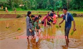 പ്ര​വാ​സ​ ജീ​വി​തത്തിൽ നിന്ന് കർഷകനിലേക്ക്