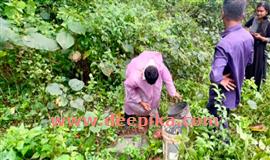 കാ​റ​ഡു​ക്ക വ​ന​ത്തി​ൽ ബോ​ക്സൈ​റ്റ്  ഖ​ന​ന നീ​ക്ക​ങ്ങ​ൾ​ക്ക് ശ​ര​വേ​ഗം