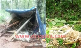വീ​ട് ഭാ​ഗി​ക​മാ​യി ത​ക​ര്‍​ത്തു, കൃഷി നശിപ്പിച്ചു : വീ​ണ്ടും കാ​ട്ടാ​നകളുടെ ആ​ക്ര​മ​ണം