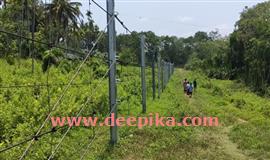 വ​ന്യ​മൃ​ഗ സം​ഘ​ർ​ഷ പ്ര​തി​രോ​ധ  പ​ദ്ധ​തി​ക​ൾ വി​ജ​യം കാ​ണു​ന്നു