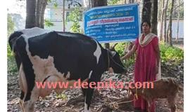 ‘ഗൃ​ഹ​സ​മൃ​ദ്ധി വീ​ട്ട​മ്മ​യ്ക്കൊ​രു കൈ​ത്താ​ങ്ങ് ’പദ്ധതിയുമായി  പ​ത്ത​നാ​പു​രം ബ്ലോ​ക്ക് പ​ഞ്ചാ​യ​ത്ത്