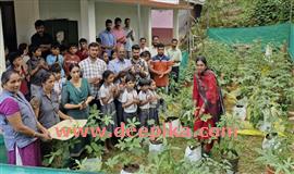 വേ​ന​പ്പാ​റ സ്കൂ​ളി​ൽ  പ​ച്ച​ക്ക​റി വി​ള​വെ​ടു​പ്പ് ന​ട​ത്തി