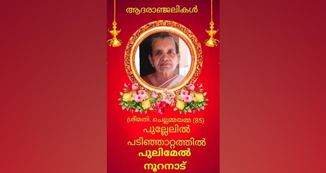 പ്ര​സ​ന്ന​ൻ പി​ള്ള​യു​ടെ മാ​താ​വ് ചെ​ല്ല​മ്മ പു​ല്ലേ​ലി​ൽ അ​ന്ത​രി​ച്ചു