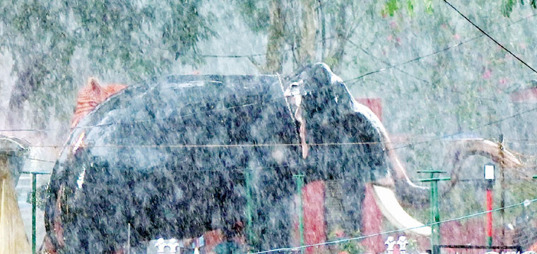 മ​ഴ​നീ​രാ​ട്ട്... ഇ​ന്ന​ലെ പെ​യ്ത ശ​ക്ത​മാ​യ മ​ഴ​യു​ടെ പ​ശ്ചാ​ത്ത​ല​ത്തി​ൽ തൊ​ടു​പു​ഴ മു​നി​സി​പ്പ​ൽ പാ​ർ​ക്കി​ലെ ആ​ന​യു​ടെ പ്ര​തി​മ