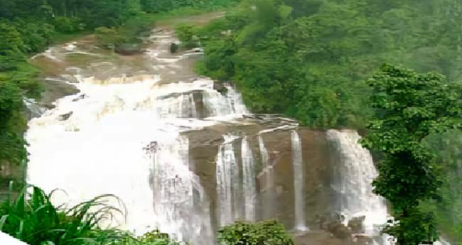 കാ​ട്ടി​നു​ള്ളി​ലെ കെ​ടാ​വി​ള​ക്ക്