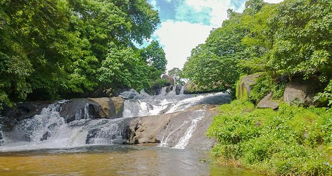 വെ​ള്ള​ച്ചാ​ട്ട​ങ്ങ​ളു​ടെ സം​സ്ഥാ​ന സ​മ്മേ​ള​നം
