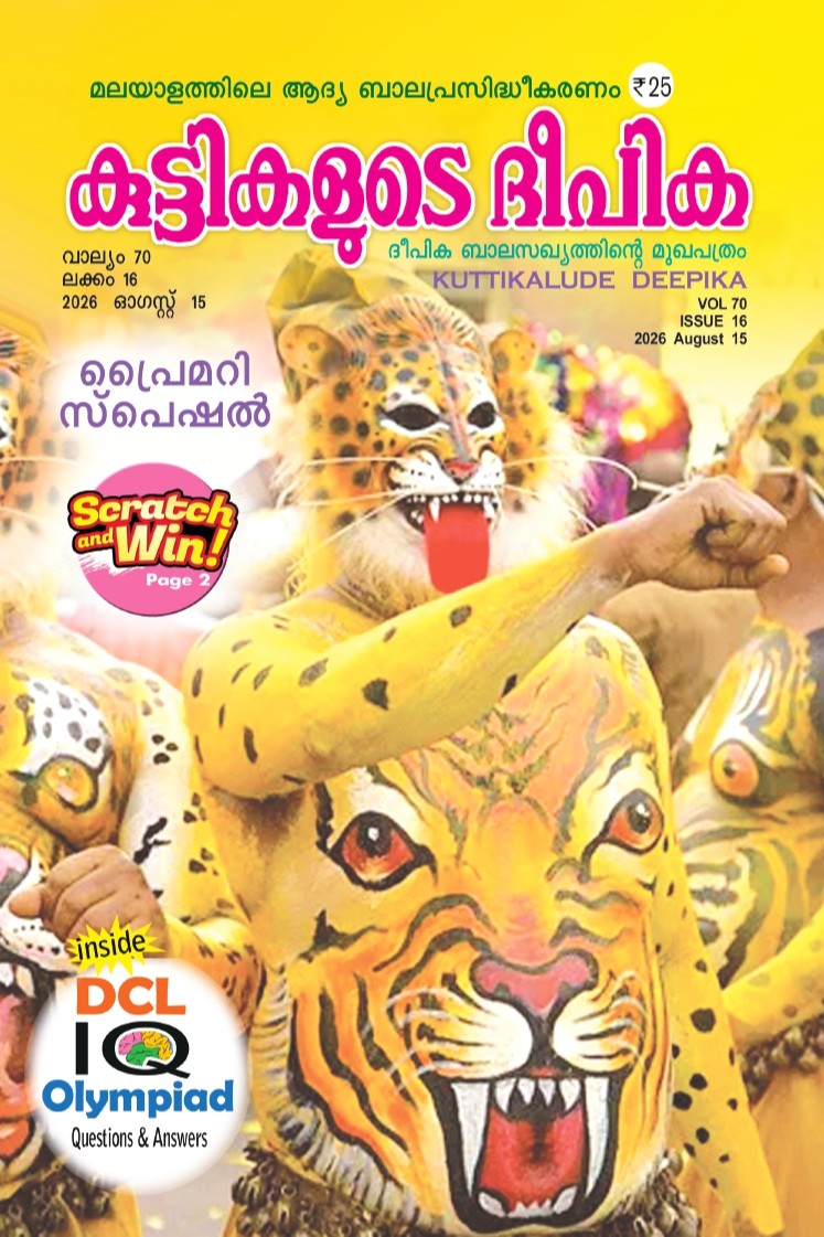 Magazine