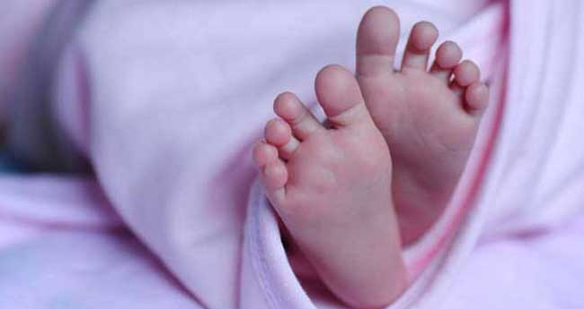 over 490 infants died in rajasthan gujarat authorities keep mum